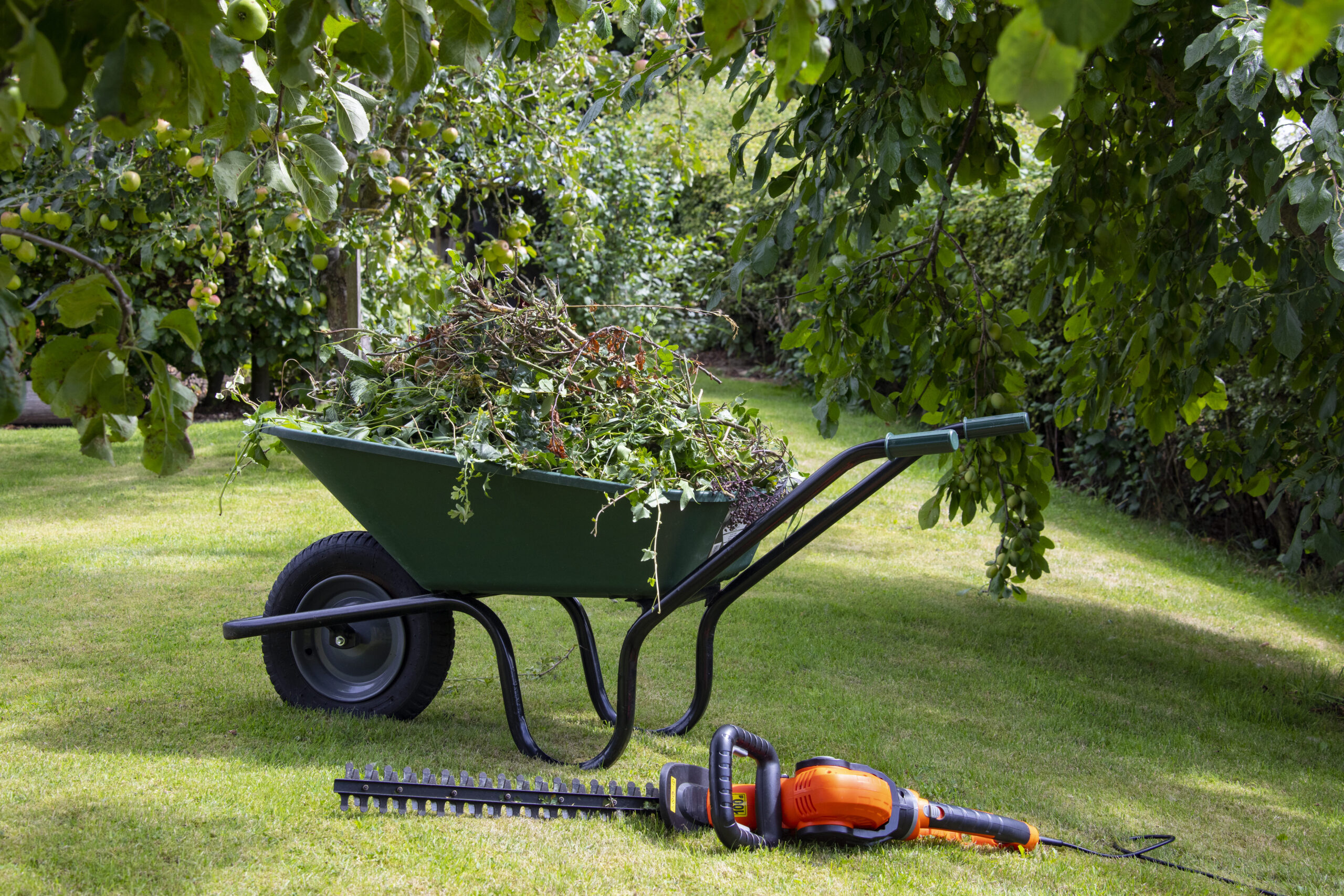 gardening-wheelbarrow-2026-01-09-06-52-24-utc (1)